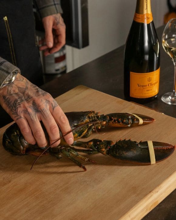 Image without a name Image without a name